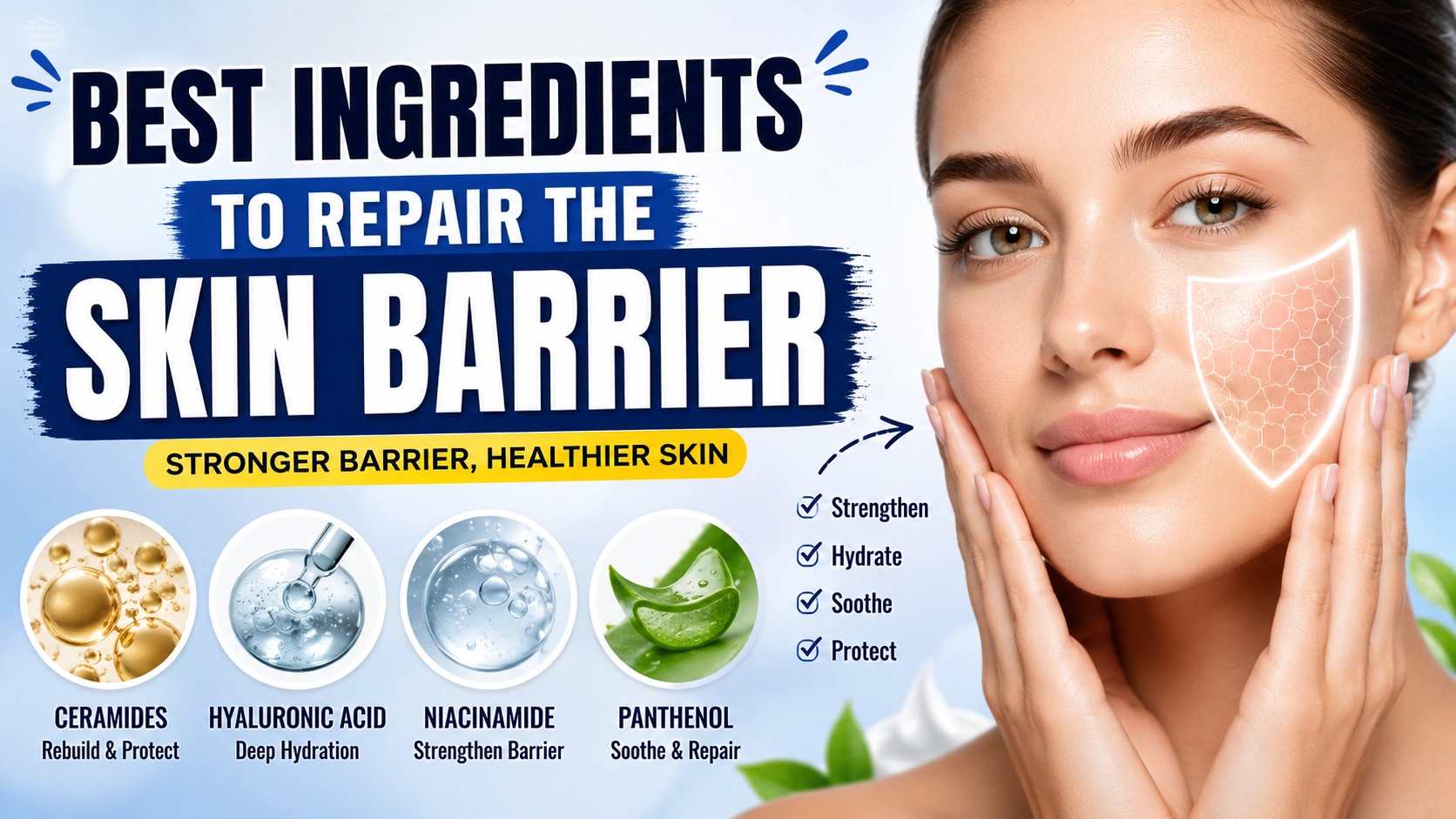 Best Ingredients to Repair the Skin Barrier